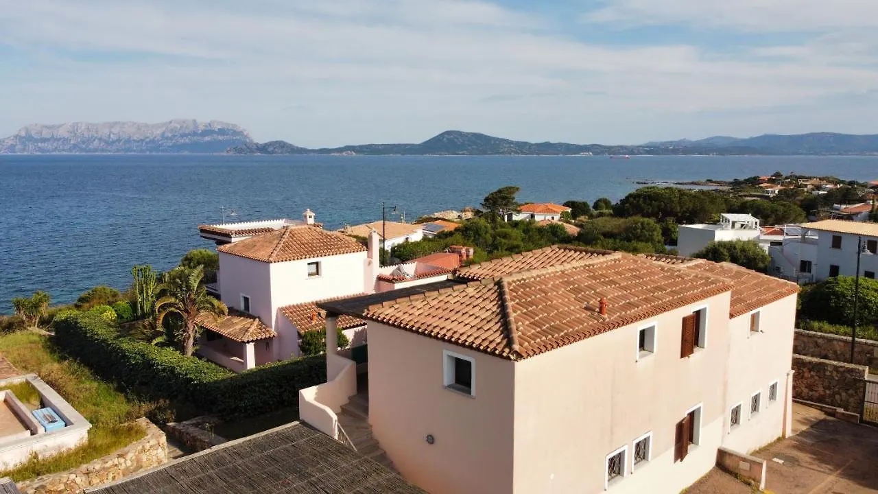 Domus Olbia Spiagge Villa Italy